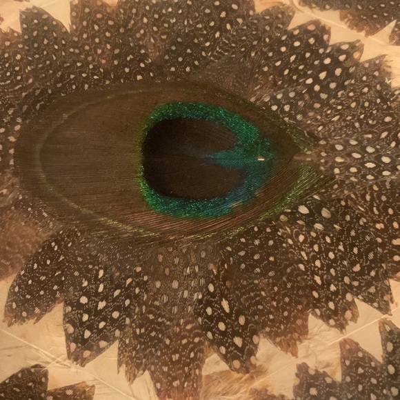 FRIDAY SALE~•= PEACOCK Feather clutch - Picture 2 of 8